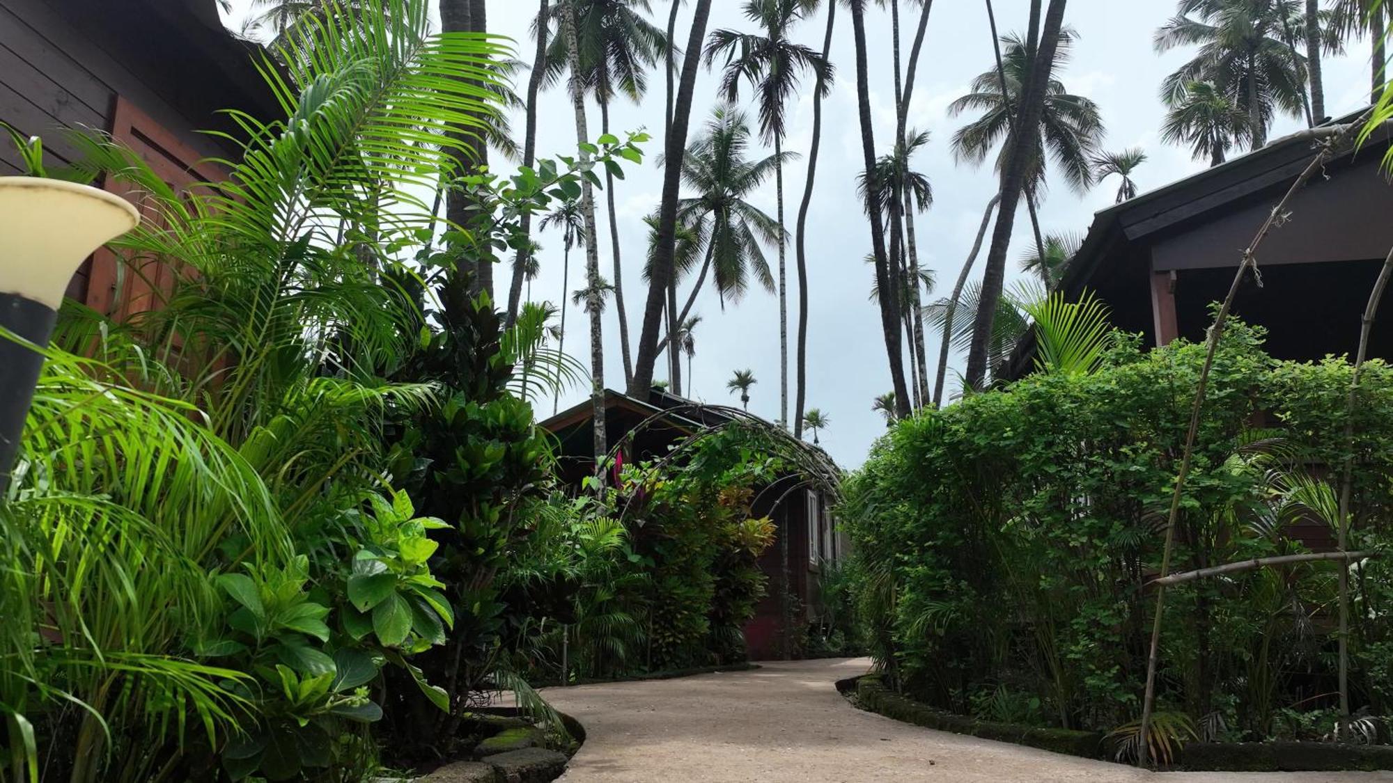 Tranquil Beach Resort Harihareshwar Екстериор снимка